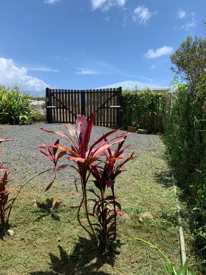 Gîte face à la mer des caraibes Sainte-Rose Exterior foto